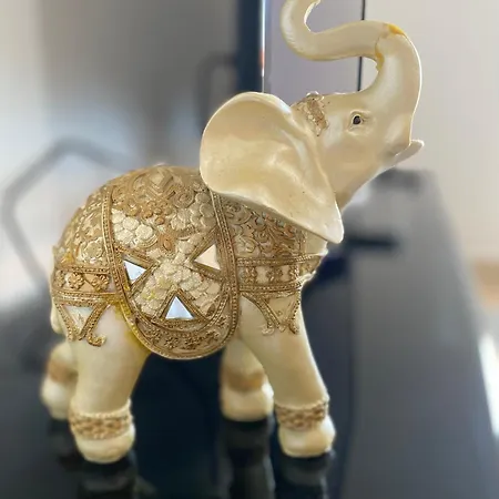 Myslym Shyri 2 * Tirana